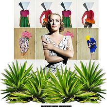 Diva Lady. Un proyecto de Collage, Diseño de interiores, Diseño editorial y Diseño gráfico de Jen Díez - 22.02.2016
