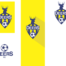 Equipos de Soccer. Design project by Rodolfo Islas - 02.25.2016