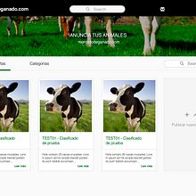 Market place mercadodeganado.com. Web Development project by Esther Martínez Recuero - 02.01.2016