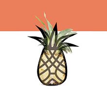 Pineapple House. Br, ing, Identit, and Design project by Jose Navarro - 03.03.2016