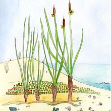 Platja deserta. Un proyecto de Ilustración tradicional de Sandra Uve - 23.03.2016