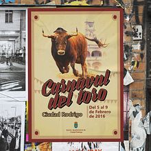Cartel para "Carnaval del toro". Un proyecto de Diseño gráfico de Pablo de Parla - 26.03.2016