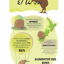 El Kiwi. Un progetto di Character design, Design editoriale, Educazione, Illustrazione tradizionale e Infografica di Clara Sánchez-Aguilera - 27.03.2016