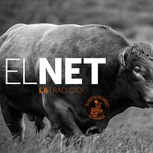 El Net de Ricardet. Br, ing, Identit, Graphic Design, Web Design, and Packaging project by Ángel Martínez Soriano - 03.30.2016