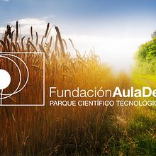 Fundación Aula Dei | Website. Web Development, Interactive Design, Web Design, Design Management, Marketing, and UX / UI project by Nacho San Nicolás López - 03.31.2016