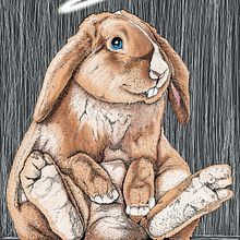 Ilustración "Bunny". Traditional illustration project by Esteban Belvís - 04.01.2016