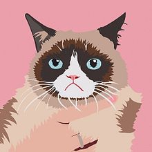 Grumpy Cat. Traditional illustration project by María Rodríguez Vázquez - 04.01.2016