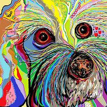 pop art . Desain proyek oleh juliaancoito12 - 04.07.2016