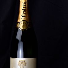Disseny Mestres Reserva Royal. Design project by Gemma Guasch Sanabra - 04.07.2016