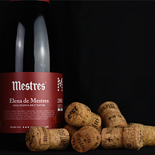 Rediseño Elena de Mestres. Br, ing, Identit, Design, and Packaging project by Gemma Guasch Sanabra - 04.07.2016