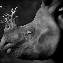 Rino Ein Projekt aus dem Bereich Bildende Künste, Traditionelle Illustration und Malerei von Jaime Sanjuan Ocabo - 07.04.2016