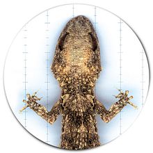 TAKO / 13. Een project van  Art direction, Redactioneel ontwerp, Grafisch ontwerp,  Scenografie y Fotografie van Iñaki Fernández Irigarai - 10.04.2016