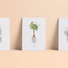 Viveros Fadura . Un proyecto de Br, ing e Identidad, Dirección de arte y Diseño gráfico de Estudio Marina Goñi - 06.04.2016