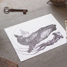  Rough Whale. Traditional illustration project by evakey - 08.13.2016