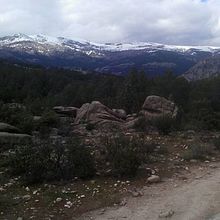 Galeria La Pedriza. Un progetto di Fotografia di Álvaro Alcibi Baquero - 12.04.2016