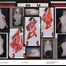 MORFOLOGÍA . Design de produtos, e Design de vestuário projeto de natalia Del Toro - 14.04.2016