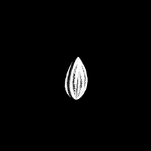 La Siembra - Ilustración y animación. Animation project by Gastón Martino - 04.16.2016