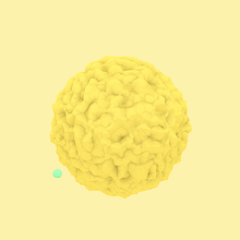 Mograph experiment . % Eduard Suñol tarafından hazırlanan 3D, Animas, on, Fotoğraf Post Prodüksi, Ve on projesi - 05.31.2016