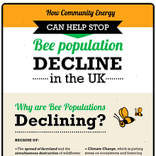 Diseño de infografía: "How Community Energy can help stop bee population decline in the UK" Ein Projekt aus dem Bereich Informationsdesign, Grafikdesign und Designverwaltung von Manuel Ortiz Domínguez - 14.04.2016