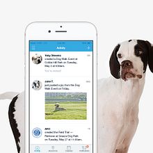 Dogways app. Un proyecto de Diseño interactivo y UX / UI de Gemma Busquets - 01.05.2016