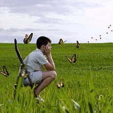 El mariposero Ein Projekt aus dem Bereich Fotografie, Bühnendekoration, Bildbearbeitung und Fotoretuschierung von Coral - 05.10.2016