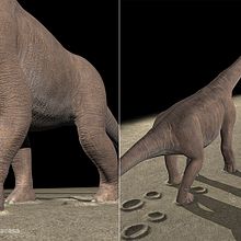 Braquiosaurio. 3D, Animation, Character Design & Infographics project by Toni L. - 05.10.2016