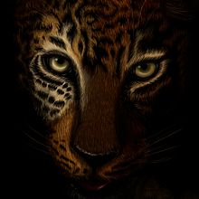 Leopardo Dibujo Digital - Leopard Digital Paint . % Cristina Pelayo Álvarez tarafından hazırlanan Geleneksel illüstras, on, Ve Tablo projesi - 05.12.2016