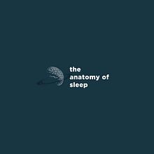 Anatomy of Sleep: Infographic. Projekt z dziedziny  Manager art, st, czn, Projektowanie informacji i Projektowanie graficzne użytkownika Martin de Frutos Zambrano - 15.05.2016