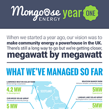 Diseño de infografía: "Mongoose Energy: Year One"  Ein Projekt aus dem Bereich Informationsdesign, Grafikdesign und Designverwaltung von Manuel Ortiz Domínguez - 18.05.2016