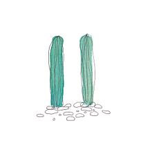 CACTUS PATTERN. Design, Accessor, Design, Graphic Design, and Traditional illustration project by Ines Carballido - 05.18.2016