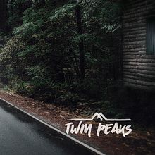 Twin Peaks. Film, Collage, Design, Graphic Design, Photograph, Photograph, and Post-production project by Benja Molina - 05.19.2016