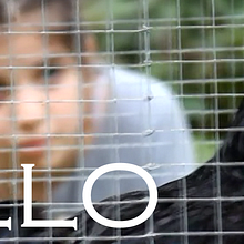 Gallo-Cortometraje. Film, Film, Video, TV, and Video project by Mateo Maciorowski - 07.14.2013