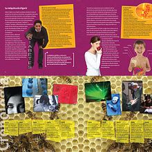 Los Libros de El Nacional (Venezuela). Projekt z dziedziny Grafika ed, torska i Projektowanie graficzne użytkownika Belén Cruz Pérez - 24.05.2008
