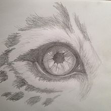 Ilustraciones. Un projet de Beaux Arts de Param Kamal - 24.05.2016
