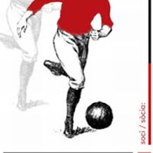 Carnet soci / client: Penya  Osasunista "Clarete". Un proyecto de Diseño de David Alcaide Negre - 13.06.2012