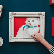 Chie Mihara - Instagram. Een project van Animatie,  Br, ing en identiteit, Film, Film, video en televisie,  Art direction,  Ontwerp, Lichtontwerp,  Scenografie, Motion Graphics, Fotografische postproductie,  Reclame, Geluidsontwerp, Stop-motion y  Video van offbeat estudio - 29.05.2016