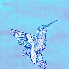 AAC . % Molly Yllom tarafından hazırlanan Geleneksel illüstras, Ve on projesi - 11.30.2013