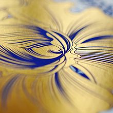 Jardín Suculento Ed. Índigo (7 Tintas + Foil Dorado).. Un progetto di Belle arti, Illustrazione tradizionale e Serigrafia di Violeta Hernández - 06.06.2016