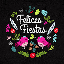 Newsletter de Navidad. Un proyecto de Diseño gráfico e Ilustración tradicional de Anna Llopis - 14.04.2016