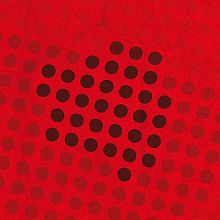 La alfarería en época ibérica: La cerámica de barniz rojo en la meseta sur Ein Projekt aus dem Bereich Kunstleitung, Verlagsdesign und Grafikdesign von Rubén Cascado - 08.11.2013