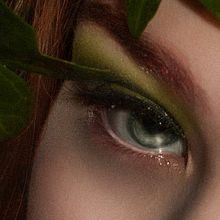Poison Ivy. Fine Arts, Comic, and Photograph project by Agatha - 06.11.2016