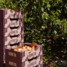 GINETA (frutas). Br, ing, Identit, Naming, and Packaging project by Nueve Estudio - 06.19.2016