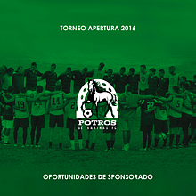Brochure para Sponsorships del equipo FC Potros de Barinas. Graphic Design, Br, ing & Identit project by Stefano Dell'olio - 06.19.2016