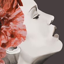 Amapola ( ilustración collage ). Un proyecto de 3D, Bellas Artes, Collage, Diseño de personajes, Fotografía, Ilustración tradicional y Pintura de Agatha - 21.06.2016