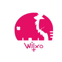 Animación logo Witxo. Projekt z dziedziny  Animacja,  Sztuki piękne, Kino, film i telewizja, Design i  Motion graphics użytkownika Alicia Fernández Sánchez - 22.02.2016
