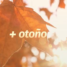 Canal 9 Televida Rebrand . Br, ing și identitate și Grafică în mișcare de Eugenia Martinez Barbazza - 06.24.2016