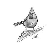 Ilustración - Pájaros. Een project van  Urban art,  Beeldende kunst,  Ontwerp, Grafisch ontwerp, Traditionele illustratie y Schilderij van Miguel Angel Lallana Figueroa - 24.06.2016