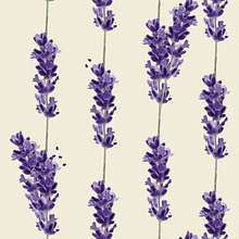 Pattern Lavanda . Design, Graphic Design, and Traditional illustration project by Laura Garcia - 06.25.2016