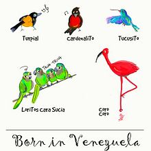 Born in Venezuela: pajaritos de por aquí. Comic, Graphic Design, Traditional illustration & Infographics project by Valentina Urdaneta Urdaneta - 06.25.2016