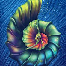 FECUCA 2015. Un progetto di Direzione artistica e Illustrazione tradizionale di Jime Mosqueda - 30.11.2015